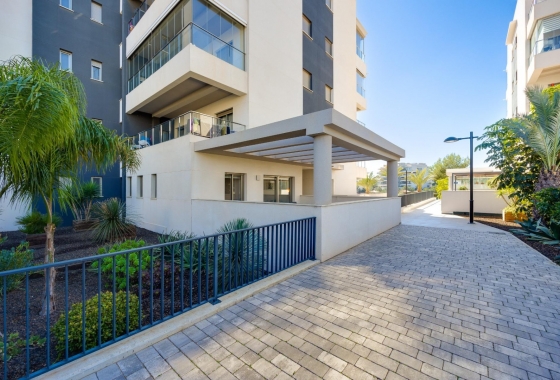 Rynek Wtórny - Apartament - Orihuela Costa - Los Dolses