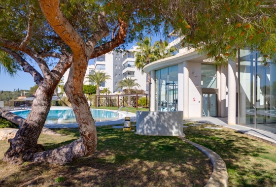 Rynek Wtórny - Apartament - Orihuela Costa - Los Dolses