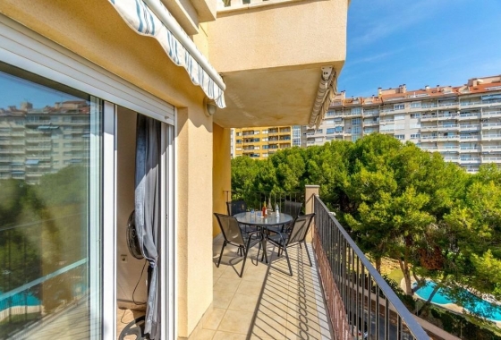 Rynek Wtórny - Apartament - Dehesa De Campoamor
