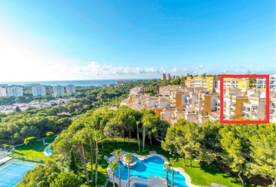 Rynek Wtórny - Apartament - Dehesa De Campoamor
