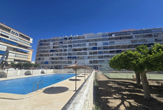 Rynek Wtórny - Apartament - Torrevieja - Playa Acequion