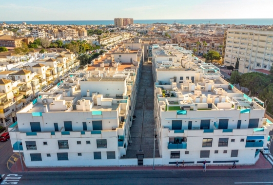 Rynek Wtórny - Apartament - Torrevieja - Playa de los Locos