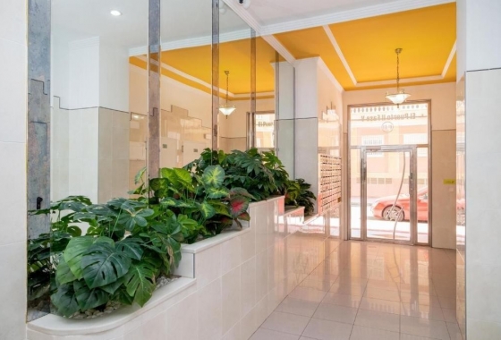 Rynek Wtórny - Apartament - Torrevieja - Parque de Las Naciones