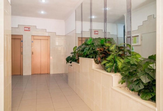 Rynek Wtórny - Apartament - Torrevieja - Parque de Las Naciones