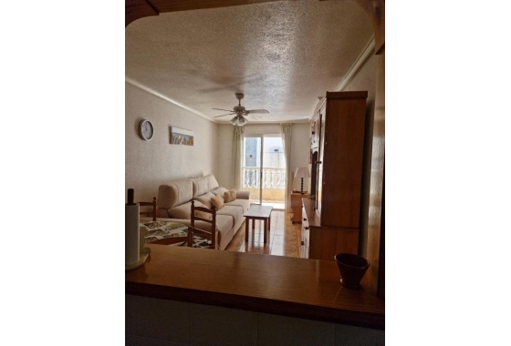 Rynek Wtórny - Apartament - Torrevieja - Parque de Las Naciones
