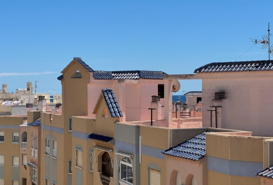 Rynek Wtórny - Apartament - Torrevieja - LA MATA