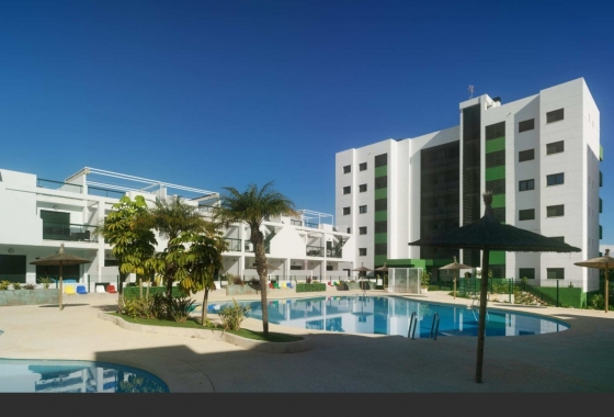 Deweloperskie - Apartament - Pilar de la Horadada