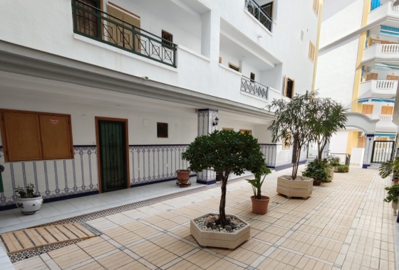 Rynek Wtórny - Apartament - La Mata
