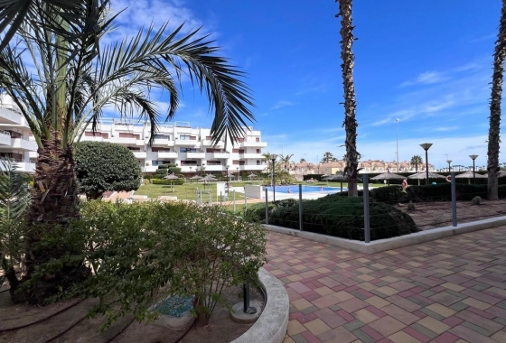 Rynek Wtórny - Apartament - Orihuela Costa - Cabo Roig