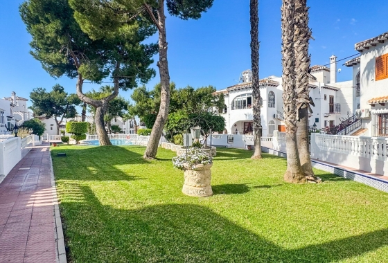 Rynek Wtórny - Bungalow - Torrevieja - Nueva Torrevieja - Aguas Nuevas