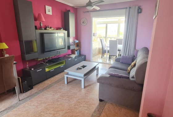 Rynek Wtórny - Bungalow - Torrevieja - Nueva Torrevieja - Aguas Nuevas