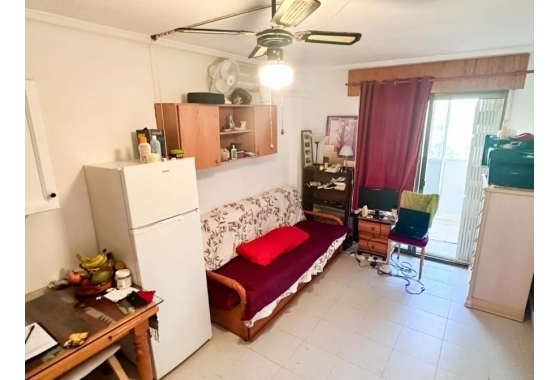 Reventa - Estudio - Torrevieja - El Chaparral
