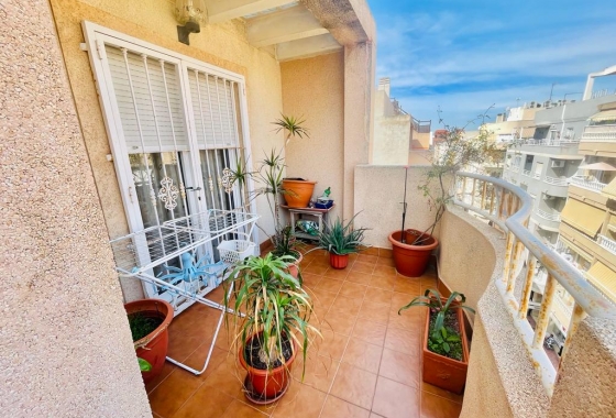 Resale - Apartment / flat - Torrevieja - Centro