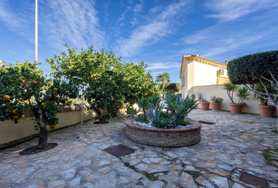 Rynek Wtórny - Willa - Torrevieja - Acequion- Torrevieja - Costa Blanca