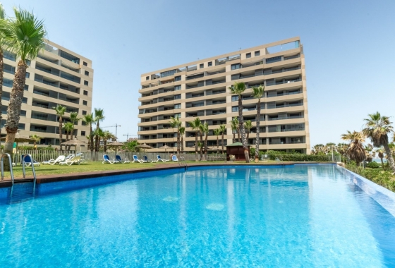 Reventa - Apartamento / piso - Punta Prima