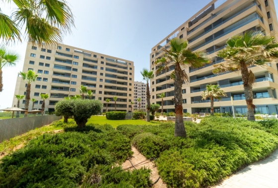 Reventa - Apartamento / piso - Punta Prima