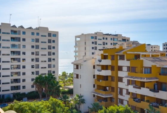 Rynek Wtórny - Apartament - Orihuela Costa - Punta Prima