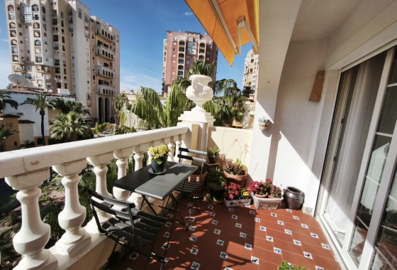 Rynek Wtórny - Apartament - Torrevieja - Torrevieja - Playa de los Locos