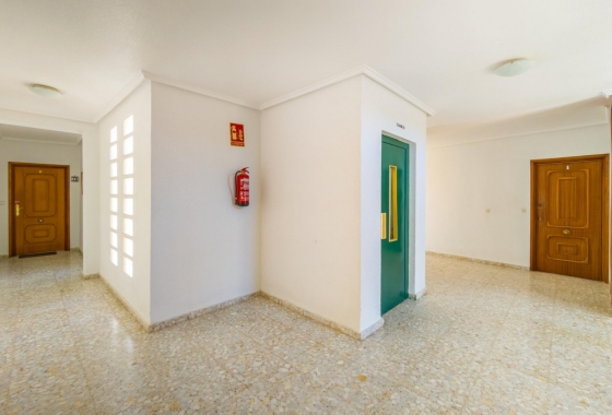 Rynek Wtórny - Apartament - Torrevieja - Torrevieja - Playa del Cura