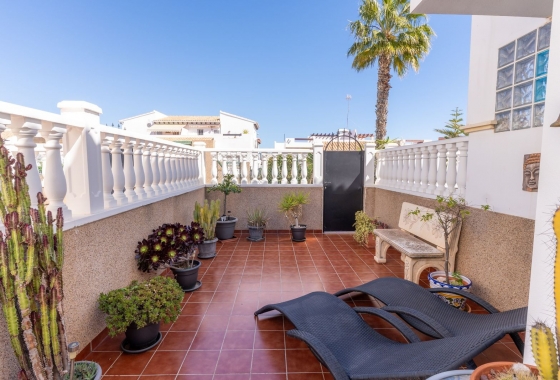 Rynek Wtórny - Bliźniak - Torrevieja - Punta prima