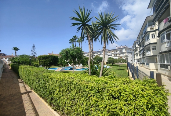Rynek Wtórny - Apartament - Torrevieja - LA MATA