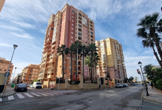 Rynek Wtórny - Apartament - Torrevieja - Torrevieja - Playa de los Locos