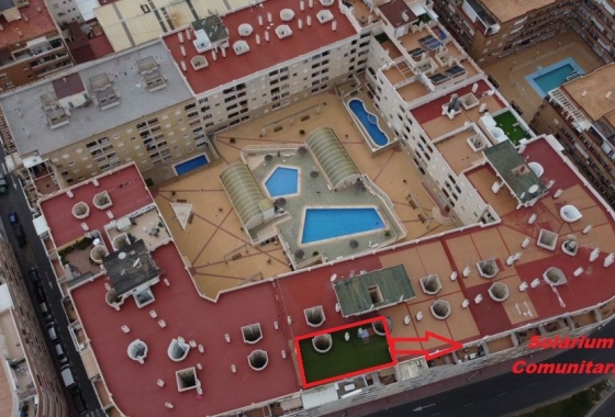 Rynek Wtórny - Apartament - Torrevieja - Centrum