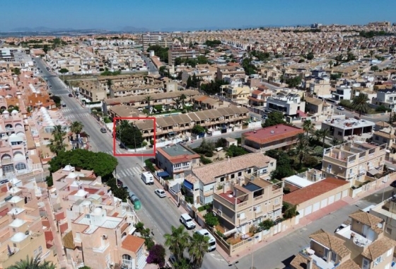 Rynek Wtórny - Bliźniak - Torrevieja - Torreblanca