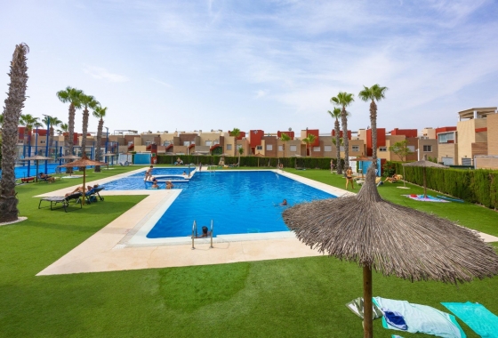Rynek Wtórny - Bungalow - Torrevieja - Nueva Torrevieja - Aguas Nuevas