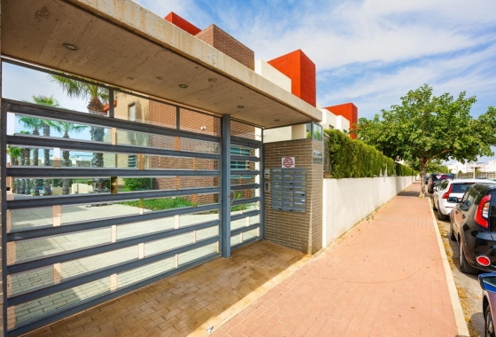 Rynek Wtórny - Bungalow - Torrevieja - Nueva Torrevieja - Aguas Nuevas