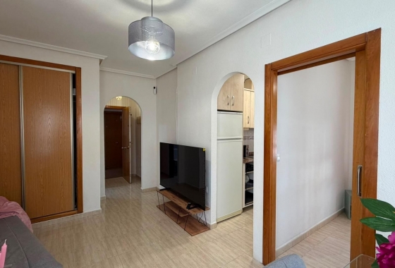 Rynek Wtórny - Apartament - Torrevieja - Torrevieja - Playa del Cura