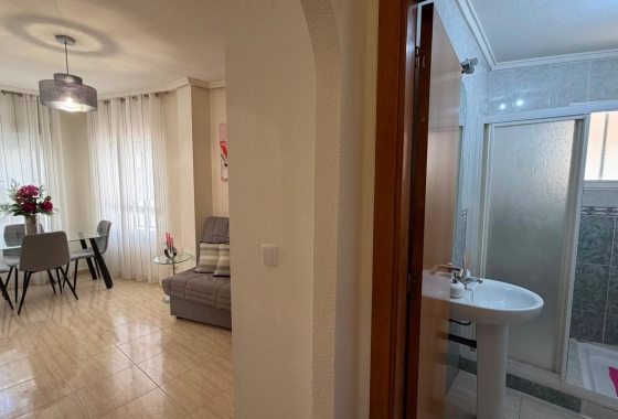 Rynek Wtórny - Apartament - Torrevieja - Torrevieja - Playa del Cura