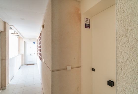 Rynek Wtórny - Apartament - Guardamar del Segura - Guardamar Playa