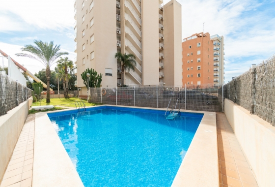 Rynek Wtórny - Apartament - Guardamar del Segura - Guardamar Playa