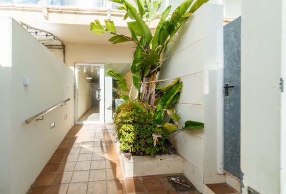 Rynek Wtórny - Apartament - Guardamar del Segura - Guardamar Playa