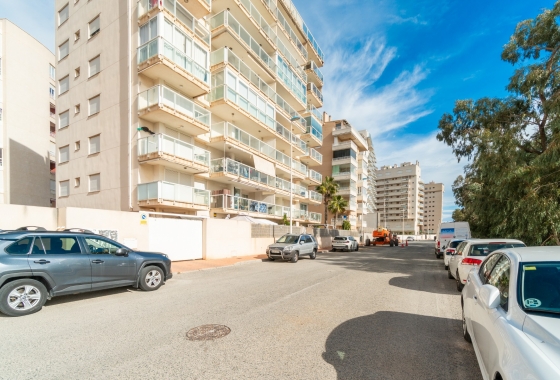 Rynek Wtórny - Apartament - Guardamar del Segura - Guardamar Playa