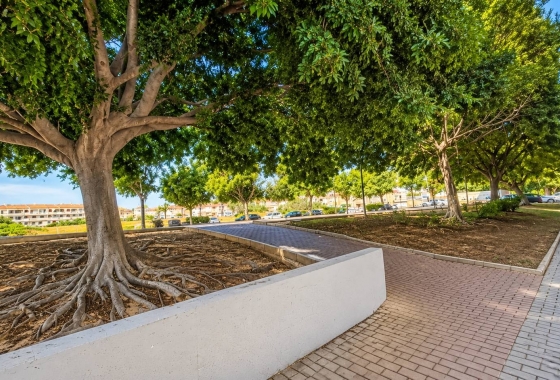 Rynek Wtórny - Apartament - Torrevieja - playa de los naufragos
