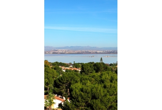 Deweloperskie - Willa - Orihuela Costa - Los Altos