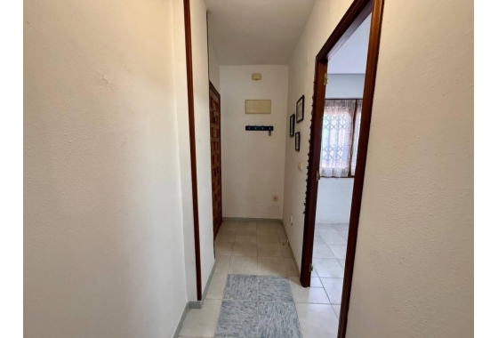 Rynek Wtórny - Apartament - Torrevieja - Torrevieja - Playa de los Locos