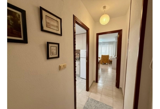 Rynek Wtórny - Apartament - Torrevieja - Torrevieja - Playa de los Locos