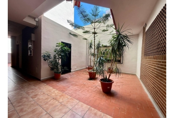 Rynek Wtórny - Apartament - Torrevieja - Torrevieja - Playa de los Locos