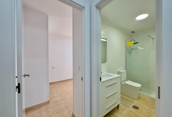 Rynek Wtórny - Apartament - Torrevieja - Torrevieja - Playa del Cura