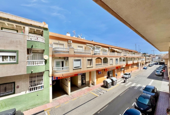 Rynek Wtórny - Apartament - Torrevieja - Torrevieja - Playa del Cura