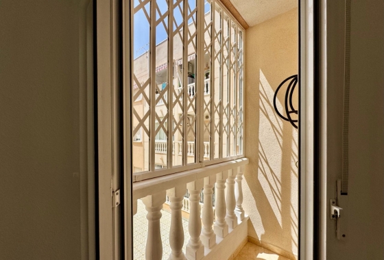 Rynek Wtórny - Apartament - Torrevieja - Torrevieja - Playa del Cura