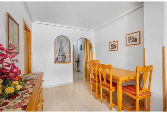 Rynek Wtórny - Apartament - Torrevieja - Torrevieja - Playa del Cura