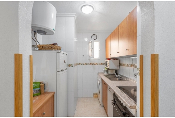 Rynek Wtórny - Apartament - Torrevieja - Torrevieja - Playa del Cura