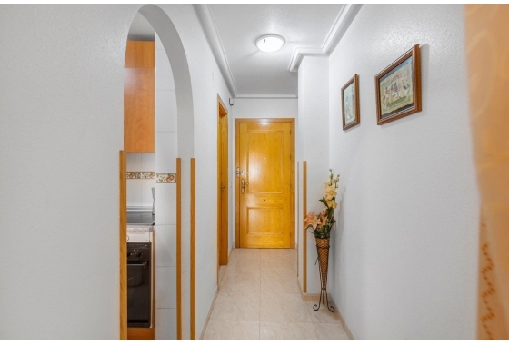 Rynek Wtórny - Apartament - Torrevieja - Torrevieja - Playa del Cura