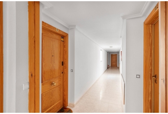 Rynek Wtórny - Apartament - Torrevieja - Torrevieja - Playa del Cura