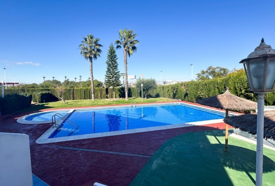 Rynek Wtórny - Bungalow - Torrevieja - Nueva Torrevieja - Aguas Nuevas