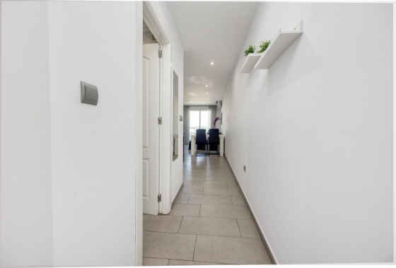 Rynek Wtórny - Apartament - Torrevieja - Centrum
